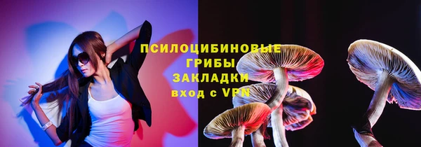 сатива Каменка
